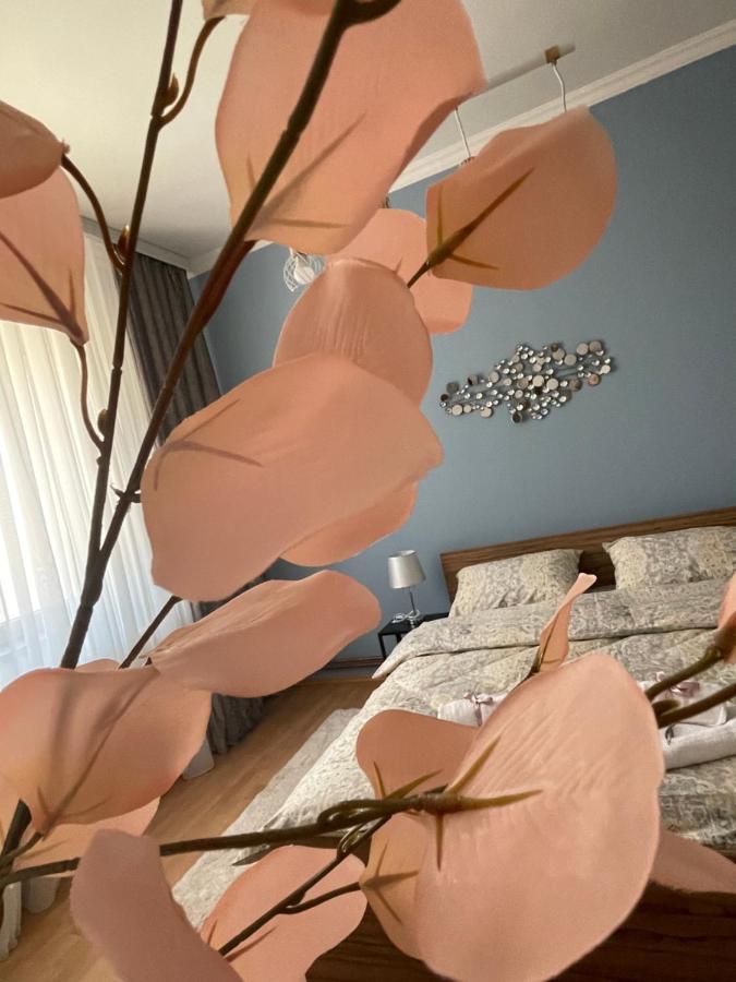Apartman Tara Szabadka Kültér fotó