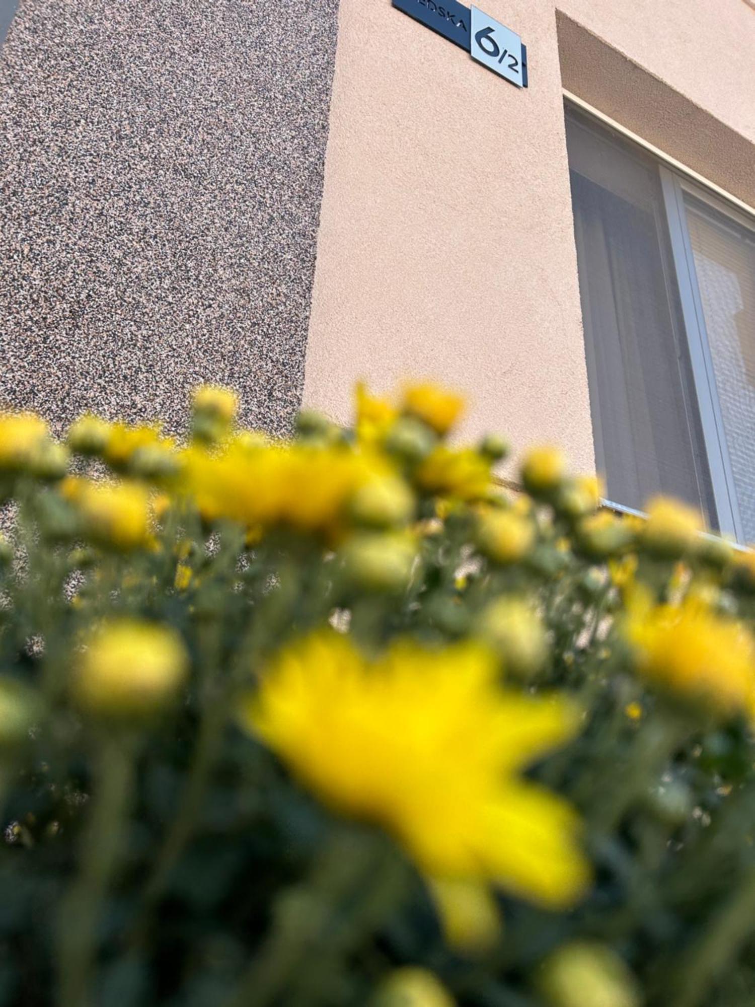 Apartman Tara Szabadka Kültér fotó